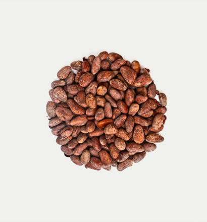Cocoa